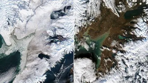 Niegdyś biała, teraz zielona. Alaska traci śnieg w zastraszającym tempie