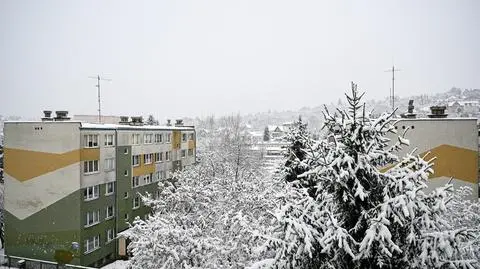 Śnieg pozbawił prądu dziesiątki tysięcy odbiorców
