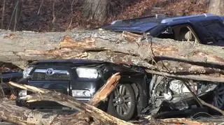 Drzewo runęło na jadące auto, w środku były dwie osoby