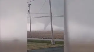 Powalone drzewa, zerwane dachy. Burzowy front przyniósł "gigantyczny" grad