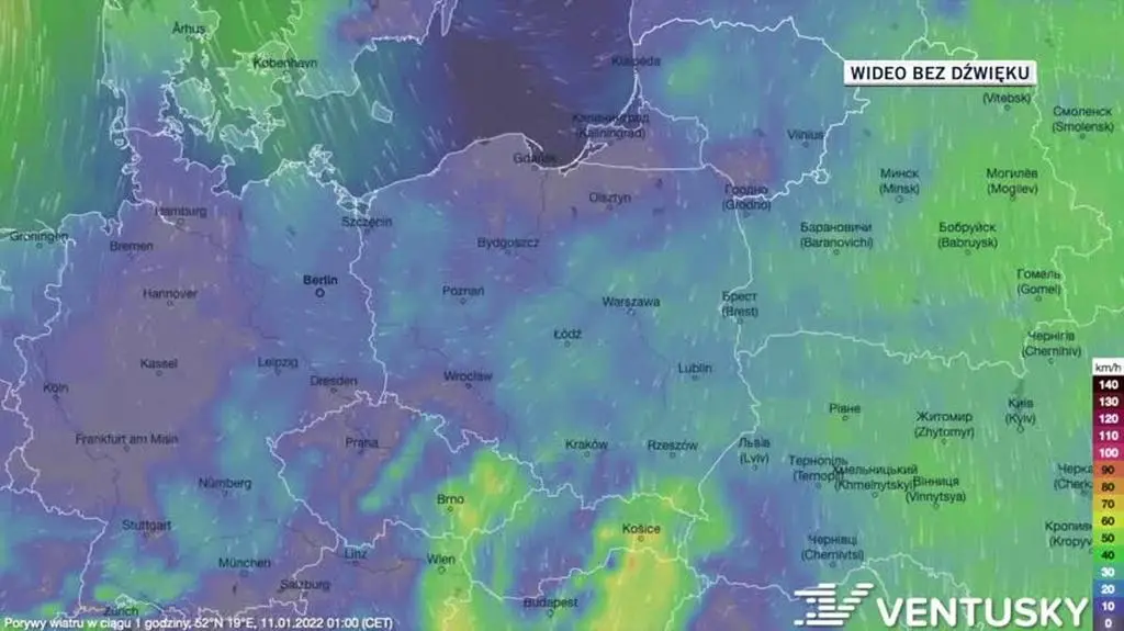 Prognozowane porywy wiatru w dniach 11-15
