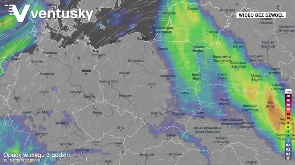 Prognozowane opady deszczu w kolejnych dniach 