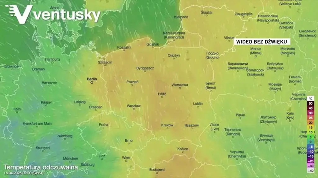 Prognozowana temperatura w kolejnych dniach