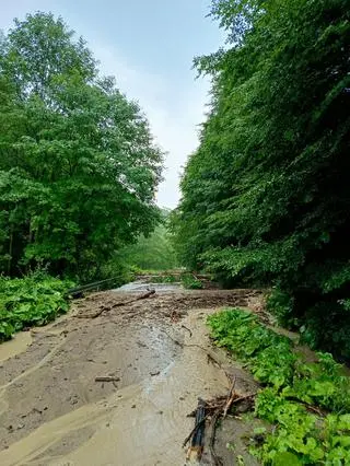 Lawina błotna w Bieszczadach