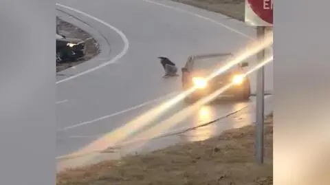 Auto wpadło w poślizg, kierowca - w panikę. Nagranie