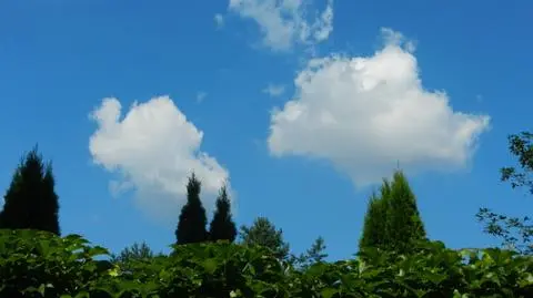 Słonecznie