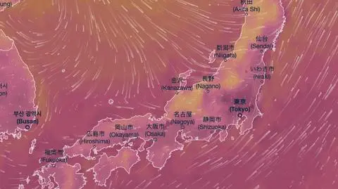 Upał w Japonii