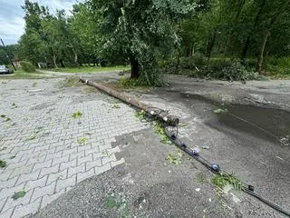 Powalone drzewa w miejscowości Goszcz, woj. dolnośląskie