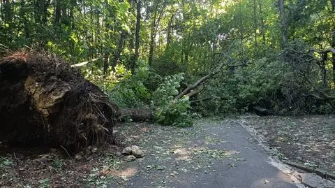 Skutki sobotnich burz. W Krakowie nie można wejść do pięciu parków