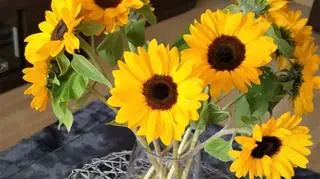 Jesienne słoneczniki