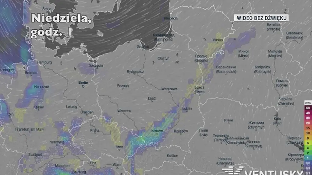Prognozowane opady w kolejnych dniach (Ventusky