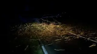 Usuwanie skutków wichur w powiecie choszczeńskim (woj. zachodniopomorskie)