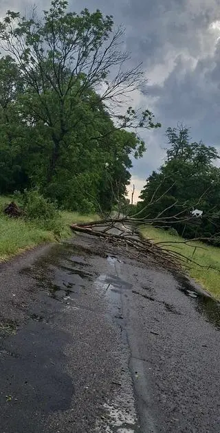 Wiatr połamał drzewa w Czelinie (woj. zachodniopomorskie)