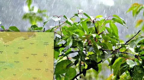 Na horyzoncie kolejne ochłodzenie. Deszcz i burze nas nie opuszczą