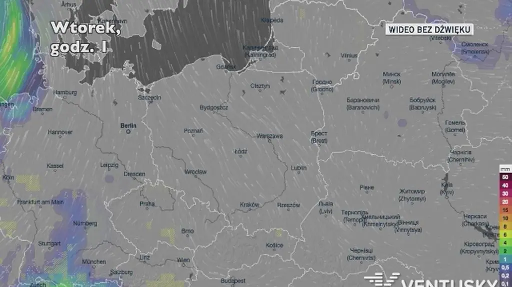 Prognozowane opady w ciągu najbliższych dni (Ventusky
