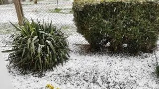 Krupa śnieżna nad Oleszną. W ciągu minuty zrobiło się biało. 09.04.2022
