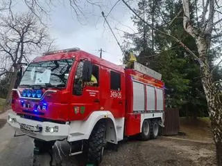 Strażacy interweniowali z powodu pochylonego drzewa przy ul. Wspólnej w Bielsku-Białej