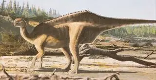 Istiorachis macaruthurae - dinozaur sprzed 125 milionów lat