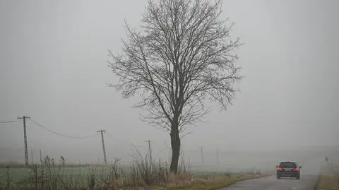 Mgła, zgniły wyż, pochmurno, szaro, ponuro, pogoda, jesień, zima, Lubelszczyzna