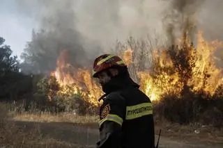 Pożar w Stamata niedaleko Aten