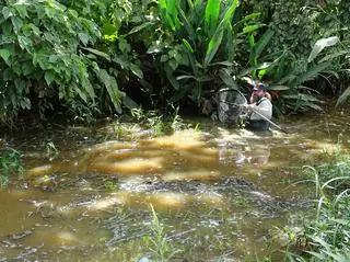 Heinz Drawert, współautor badania