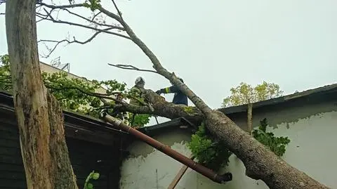 Usuwanie skutków sobotnich wichur