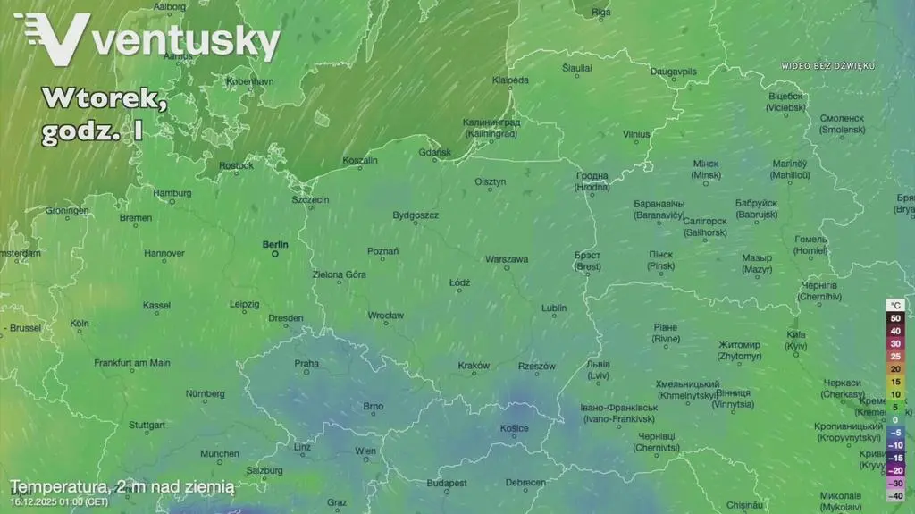 Klatka kluczowa-99186