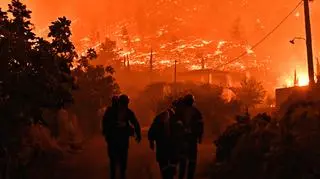 epa11633497_2