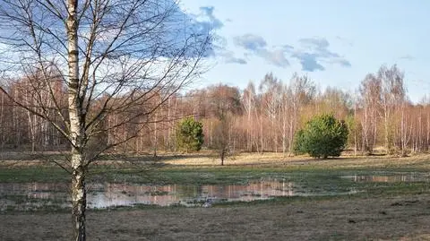 Pogodny dzień