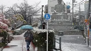 Śnieg w Tokio