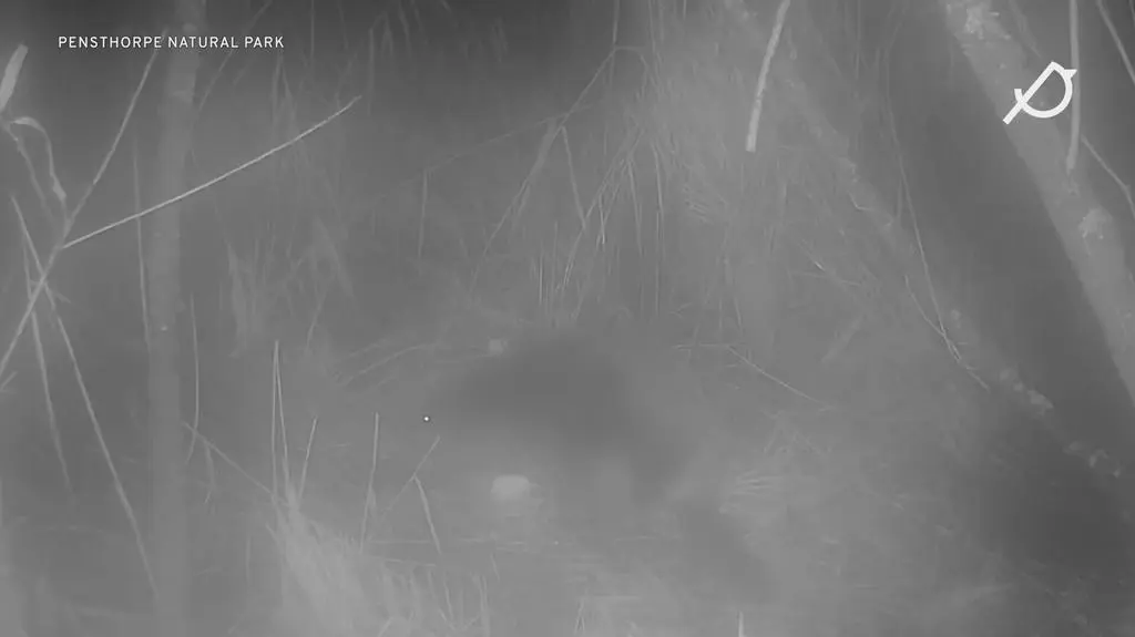 Klatka kluczowa-81194