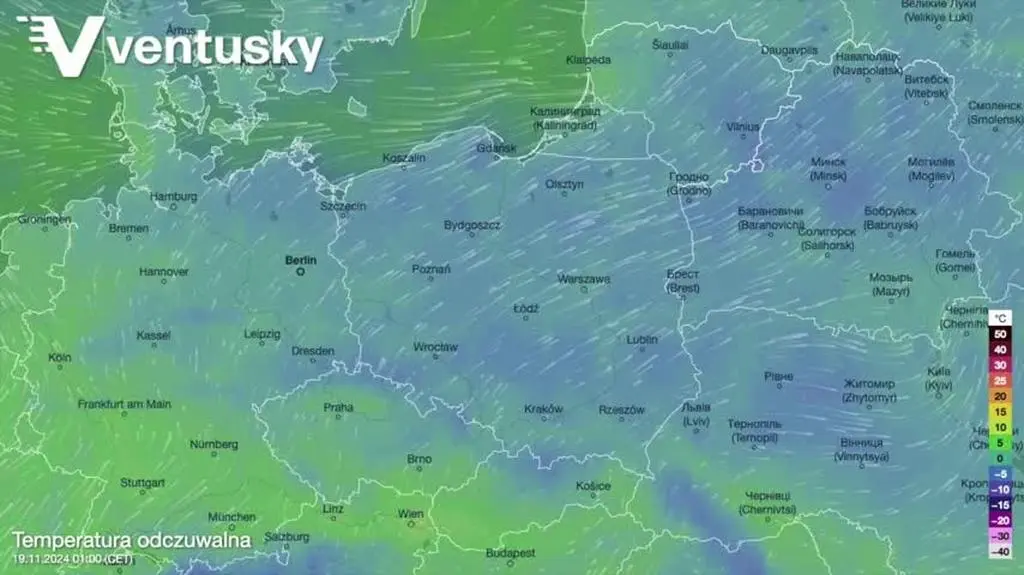 Prognozowana temperatura w kolejnych dniach 