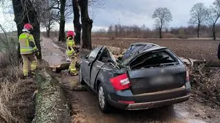Na auto, którym jechała kobieta, spadło drzewo 