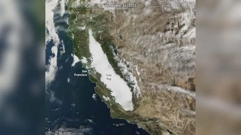 Klatka kluczowa-95190