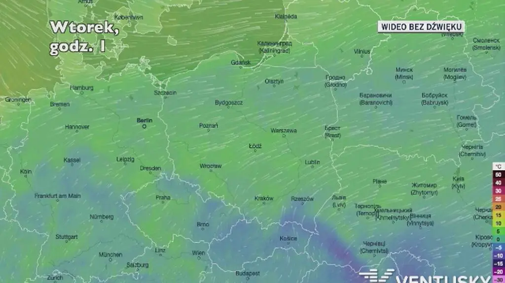 Prognozowana temperatura w najbliższych dniach (Ventusky