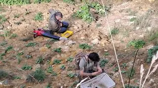 Badacze w poszukiwaniu pająka Aulonia albimana