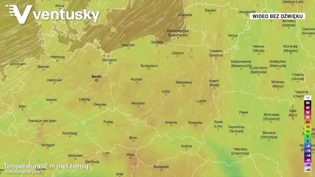 Prognozowana temperatura w kolejnych dniach