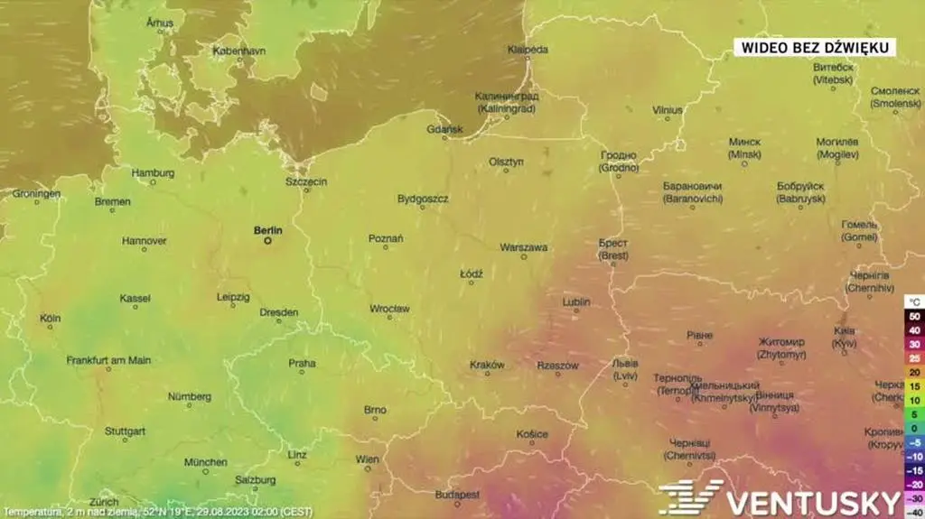 Prognozowana temperatura w kolejnych dniach