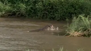 Władze zamknęły słynny park