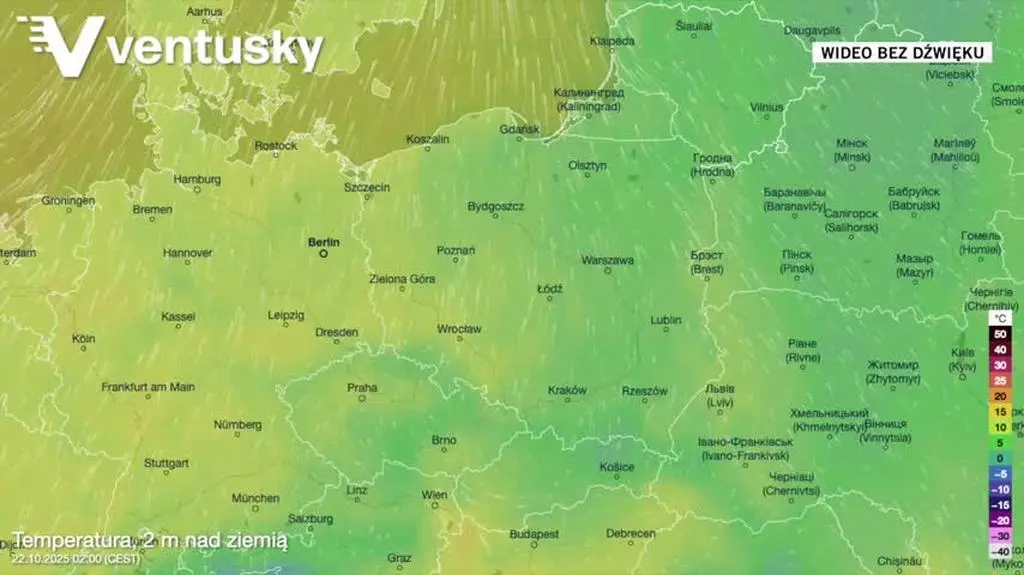 Prognozowana temperatura w kolejnych dniach