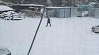 zima na całego