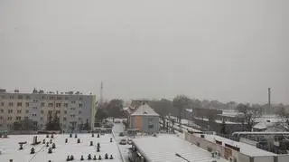 Zima w Rogoźnie Wielkopolskim.