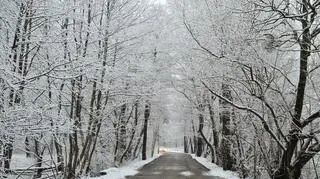 Reda pomorskie zima zawitała na północy