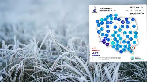 Przy gruncie -20 stopni. Zeszła noc była mroźna  