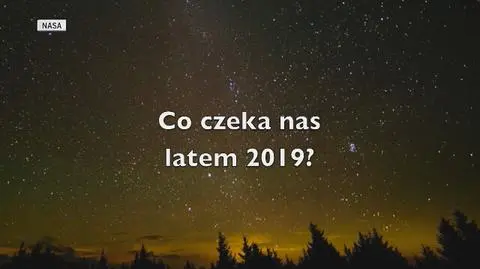 Co czeka nas latem 2019?