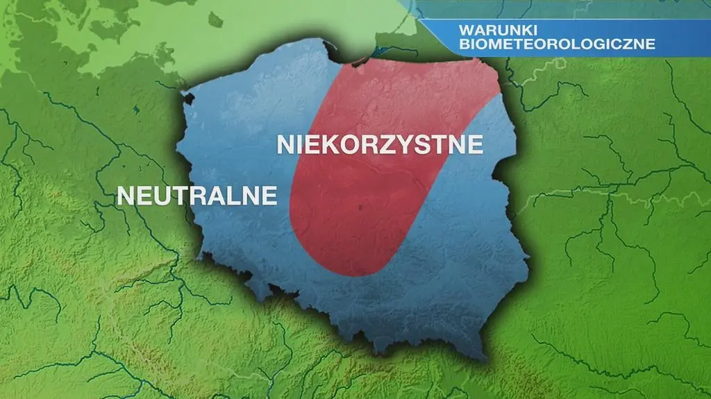 Klatka kluczowa-99654