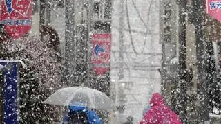 Śnieg w Tokio