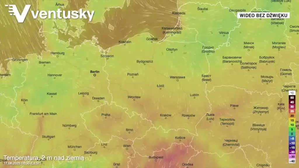 Prognozowana temperatura w kolejnych dniach