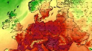 Dostawa z Wysp Zielonego Przylądka. To prawdziwa gratka!