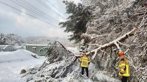 Rekordowe śnieżyce. Nie żyje pięć osób